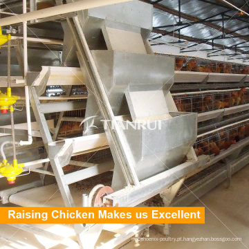 Sistema de alimentação automática para equipamentos de frango com camada de aves de capoeira